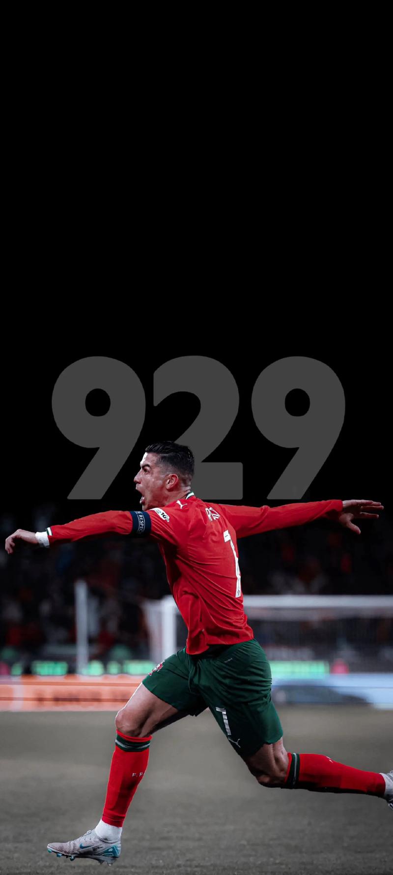 浙江队表现稳定